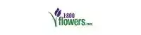 1-800-Flowers 割引コード 